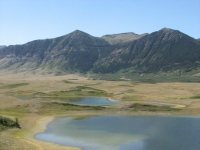 Bison enclosure